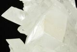 Gemmy Selenite Crystals - Naica Mine, Mexico #372142-5